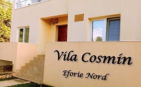 Vila Cosmin